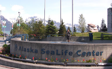 Alaska SeaLife Center sign