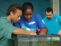 Teachers work with aquatic animals