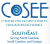 COSEE SouthEast logo