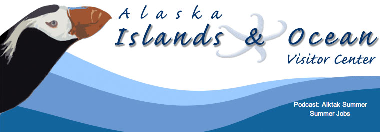 islands and oceans website