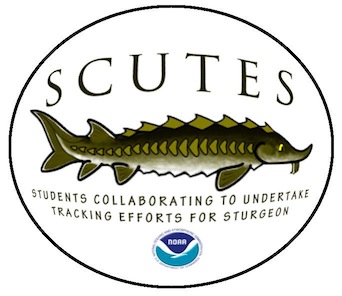 SCUTES logo