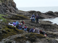 Community college faculty examine vertical zonation patterns in a sand influenced rocky intertidal at the 2009 NWBIO workshop
