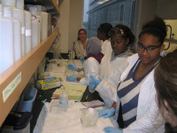 Project COOL middle school girls process water samples in Rick Keil's lab, as part of their year-long program