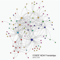 Snapshot of the COSEE NOW website friendship relationships as a network diagram