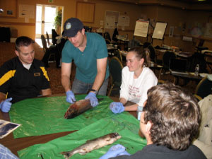 COSEE workshop participants dissect salmon
