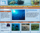 Screenshot of the COSEE Florida home page