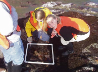 COSEE Ocean Learning Communities sampling expedition