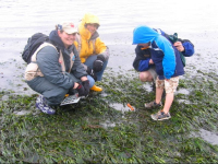 Beach naturalist interpreters with local citizens learning about the Puget SoundZ