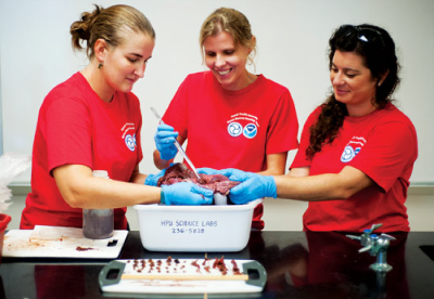 Dr. Kristi West and her team who work on the marine mammal stranding network. Image credit: Honolulu Magazine.