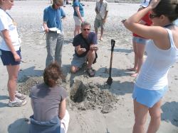 Scientist and students on the beach