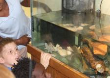 Elementary students observe their new salt water aquarium in the marine science nook