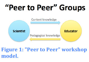 Peer to peer diagram