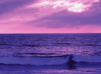 Ocean shoreline at sunset