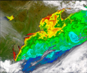 MODIS satellite image
